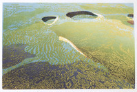 RdW G 117
<br/>
Étude pour le nuage
<br/>
<em>Reinhold, Nono (1929)</em>